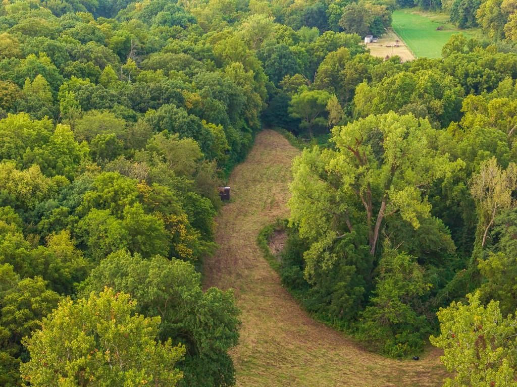 12149 Doniphan Lake Road — photo 13