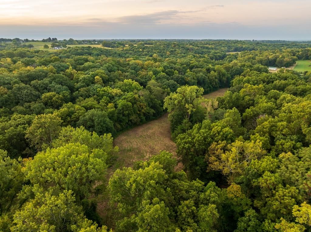 12149 Doniphan Lake Road — photo 14