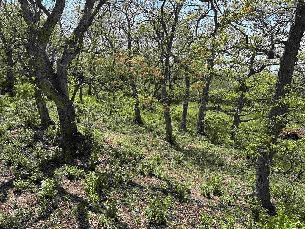 Lot 1 K92 Highway — photo 22