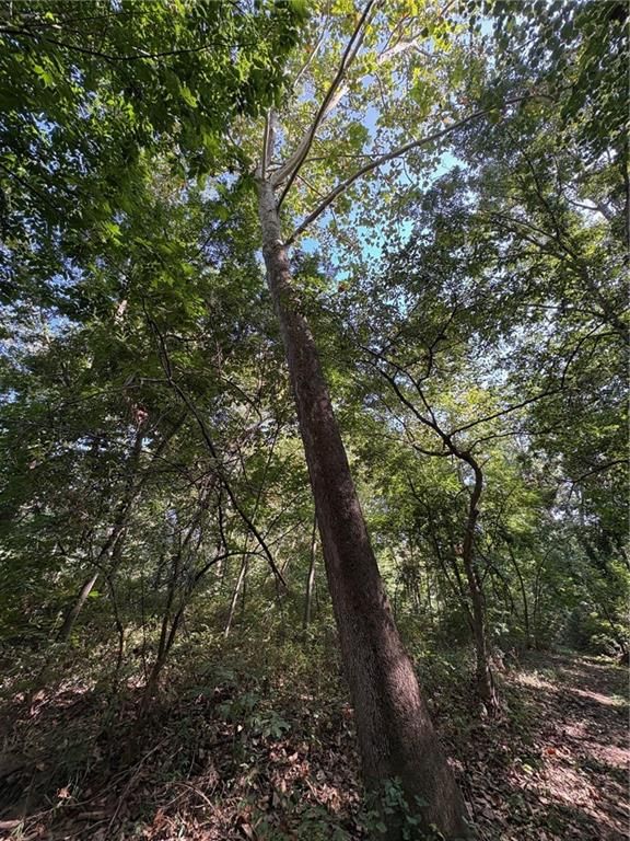 000 NW 576 Road — photo 16