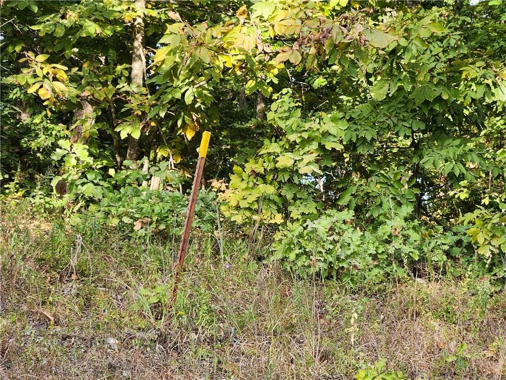 Hiawatha Drive — photo 3