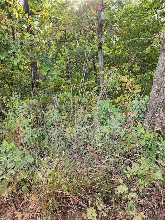 Hiawatha Drive — photo 8