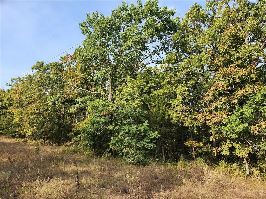 Hiawatha Drive — photo 9