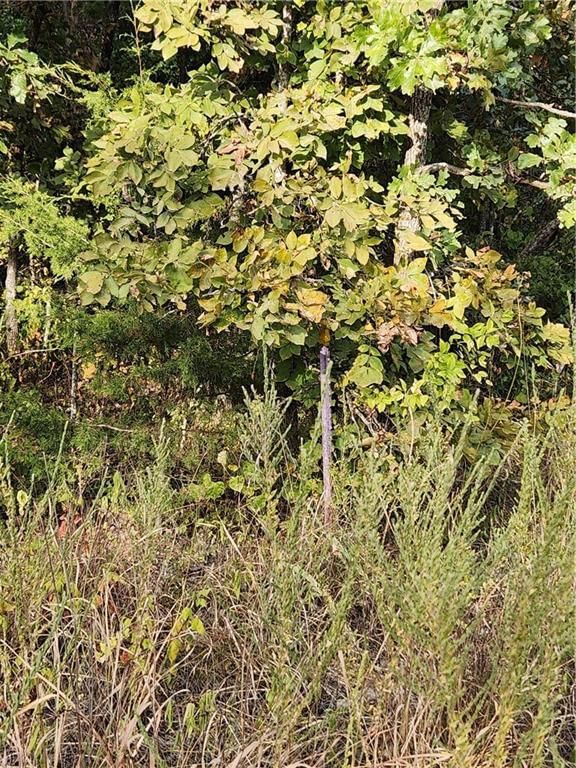Hiawatha Drive — photo 10