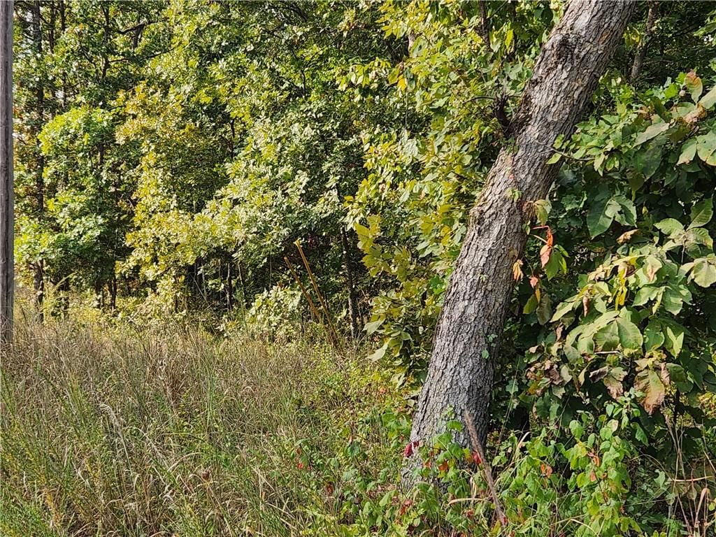 Hiawatha Drive — photo 11