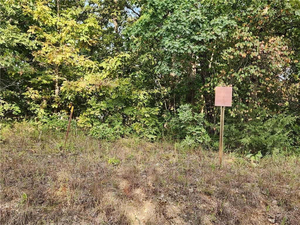 Hiawatha Drive — photo 13
