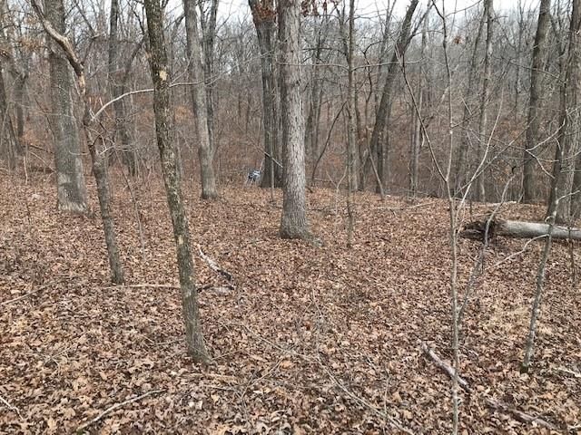 Hiawatha Drive — photo 22