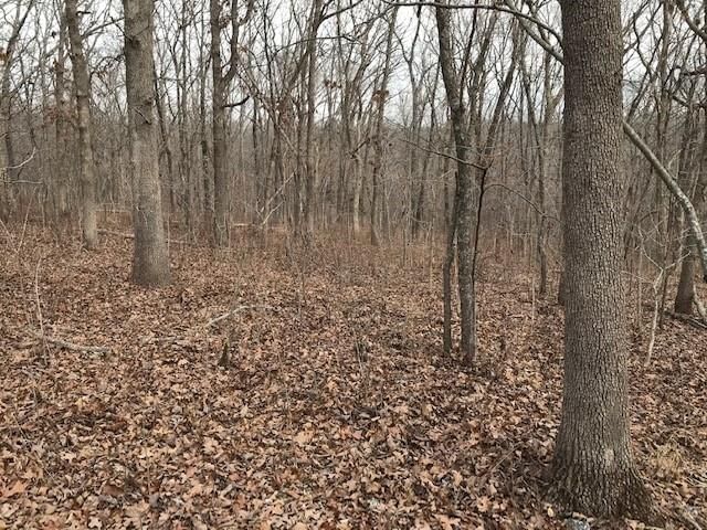 Hiawatha Drive — photo 23