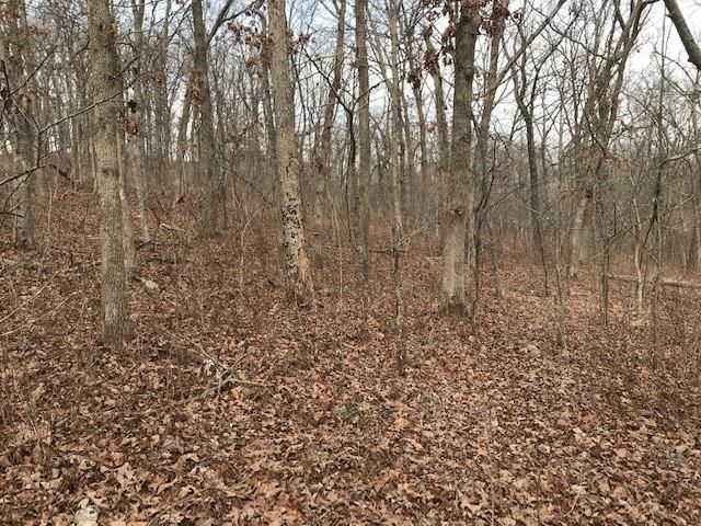 Hiawatha Drive — photo 24