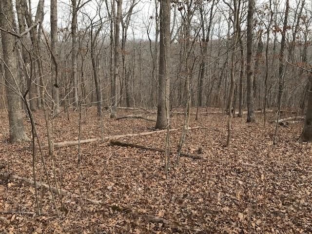 Hiawatha Drive — photo 25