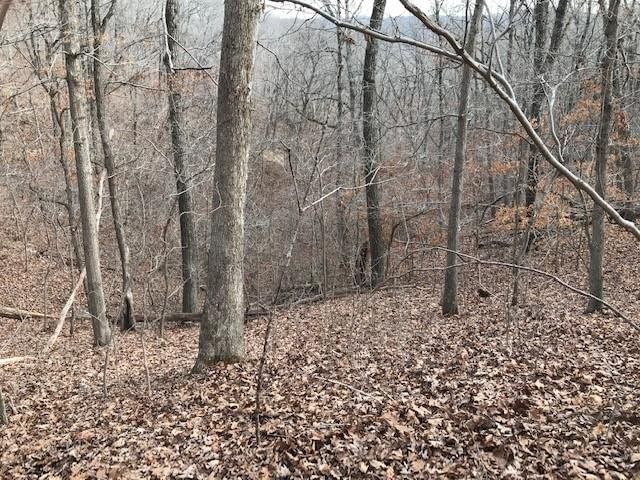 Hiawatha Drive — photo 26