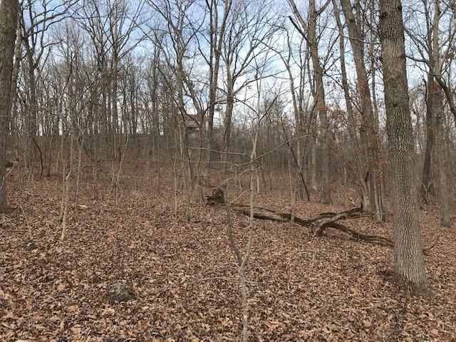 Hiawatha Drive — photo 27