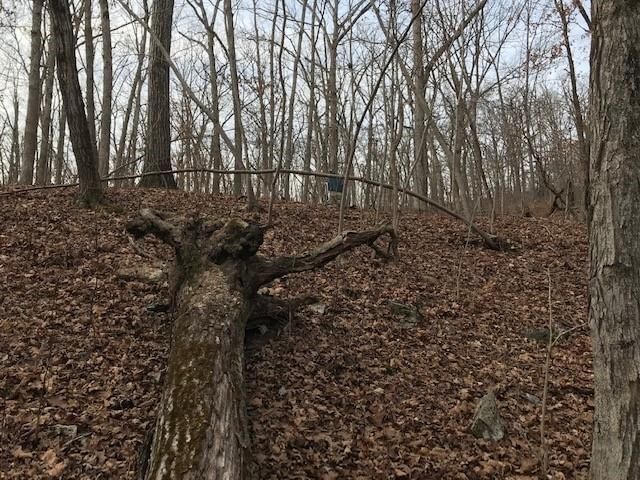 Hiawatha Drive — photo 28