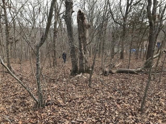 Hiawatha Drive — photo 29