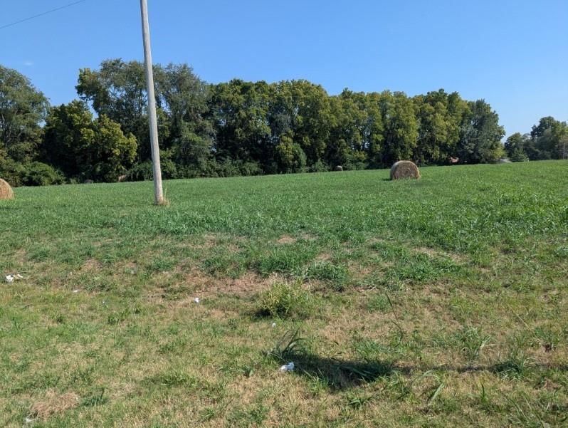 24 Hwy & Davis Road — photo 4