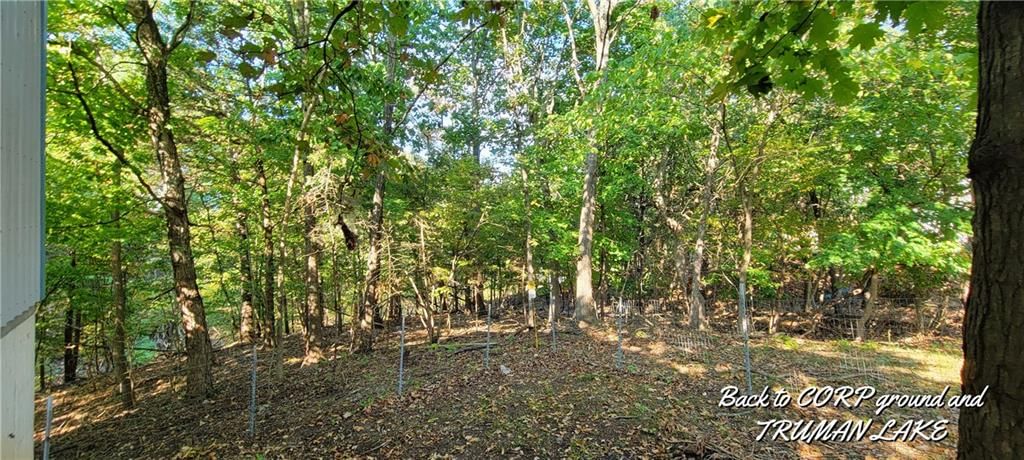 34529 Resevoir Ridge Road — photo 33