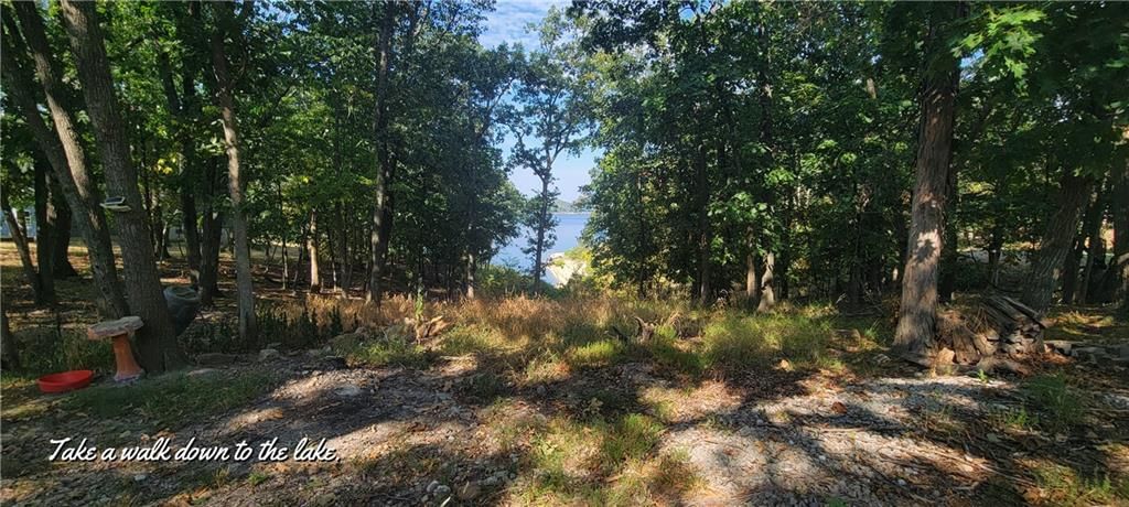 34477 Resevoir Ridge Road — photo 4