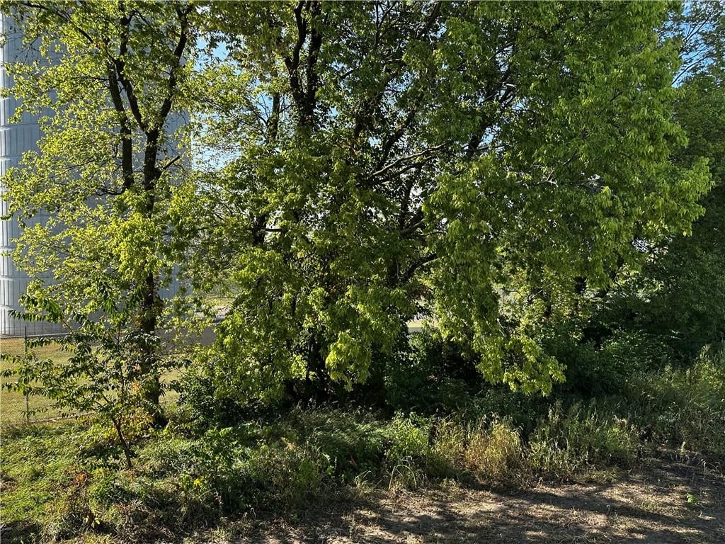 11902 N Bellaire Avenue — photo 34