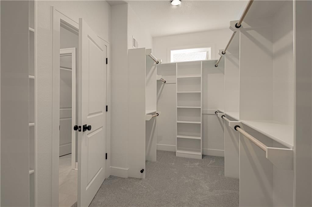 12435 Appaloosa Street — photo 17