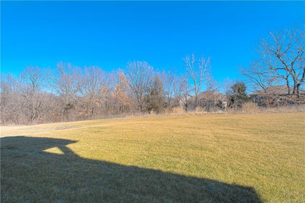 12435 Appaloosa Street — photo 29
