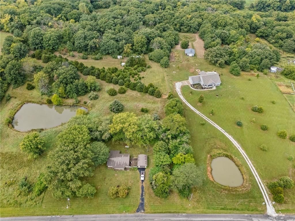 13216 Vines Road — photo 3