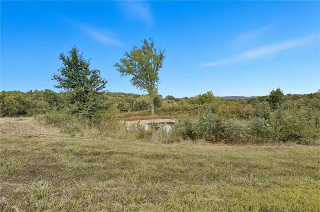 32210 E Stony Point School Road — photo 52
