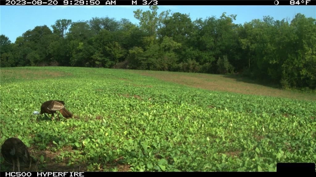 Bowen Road — photo 28