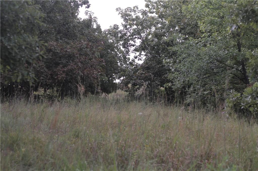 273 Ivory Road — photo 37