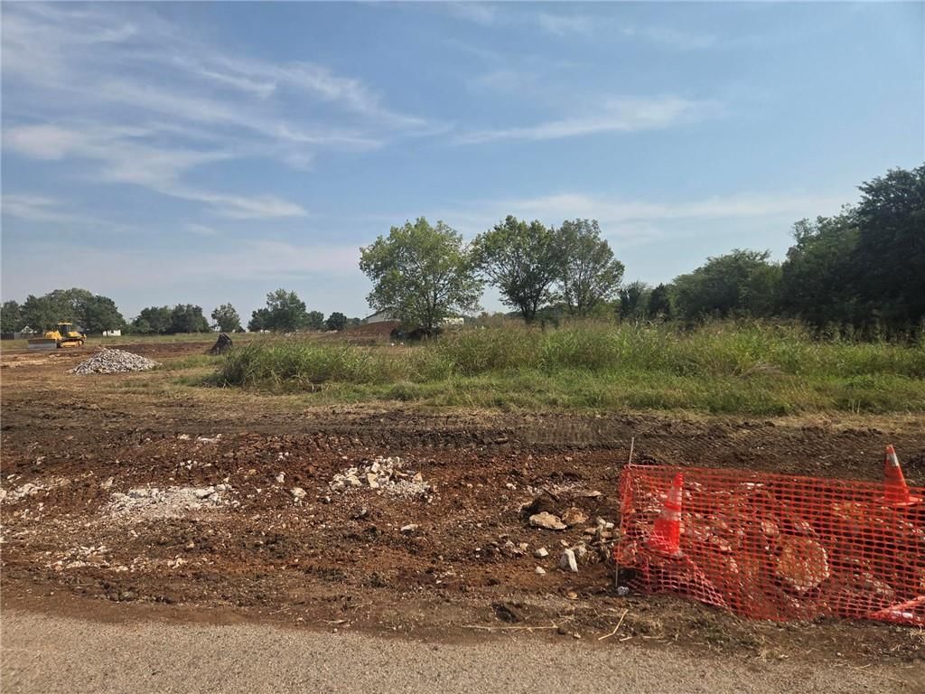 Lot 5 W 287th Terrace — photo 9