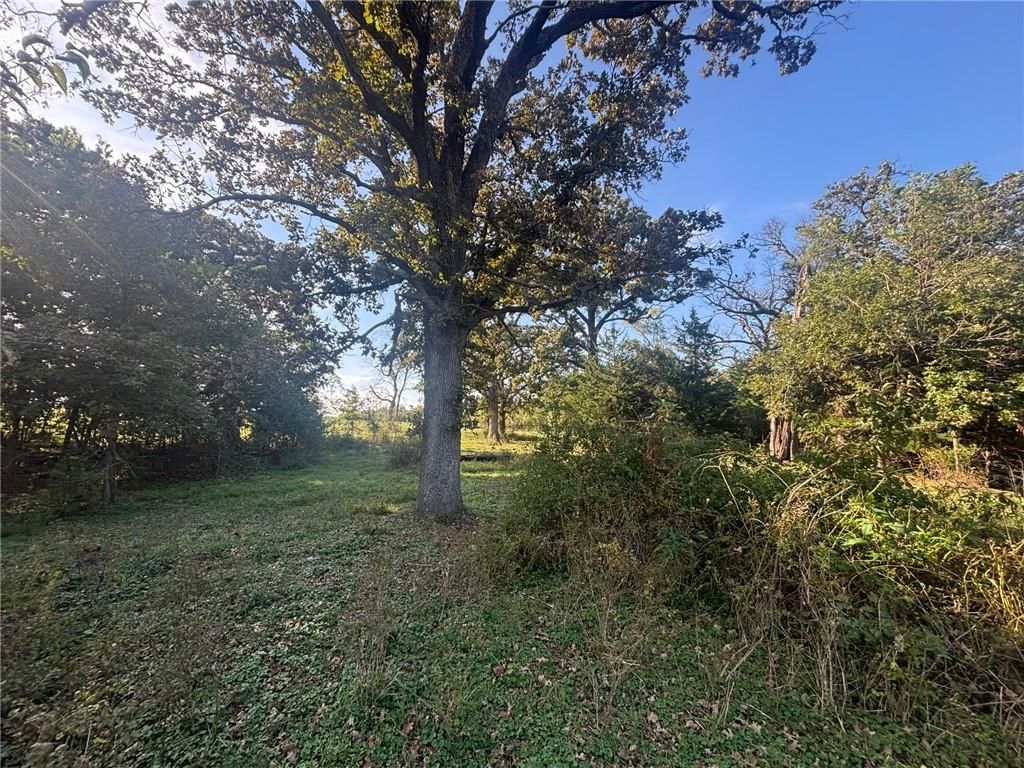 32035 W 327 Street — photo 24