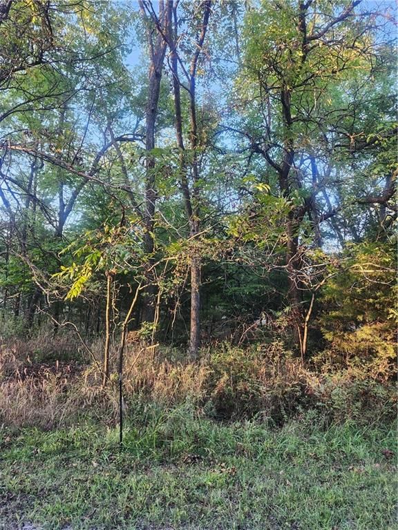 57 Beechwood Lane — photo 3