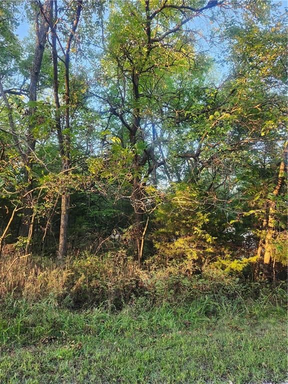 57 Beechwood Lane — photo 4