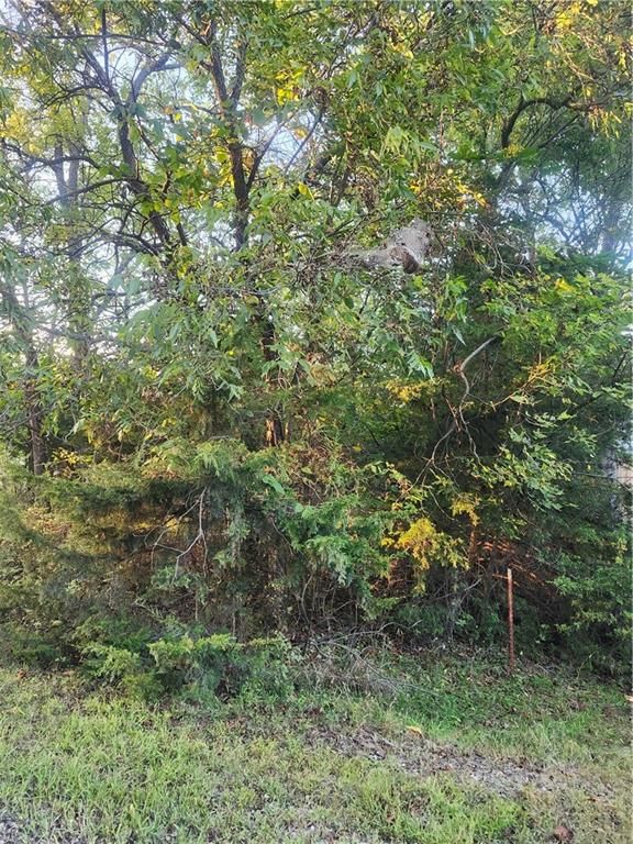 57 Beechwood Lane — photo 5