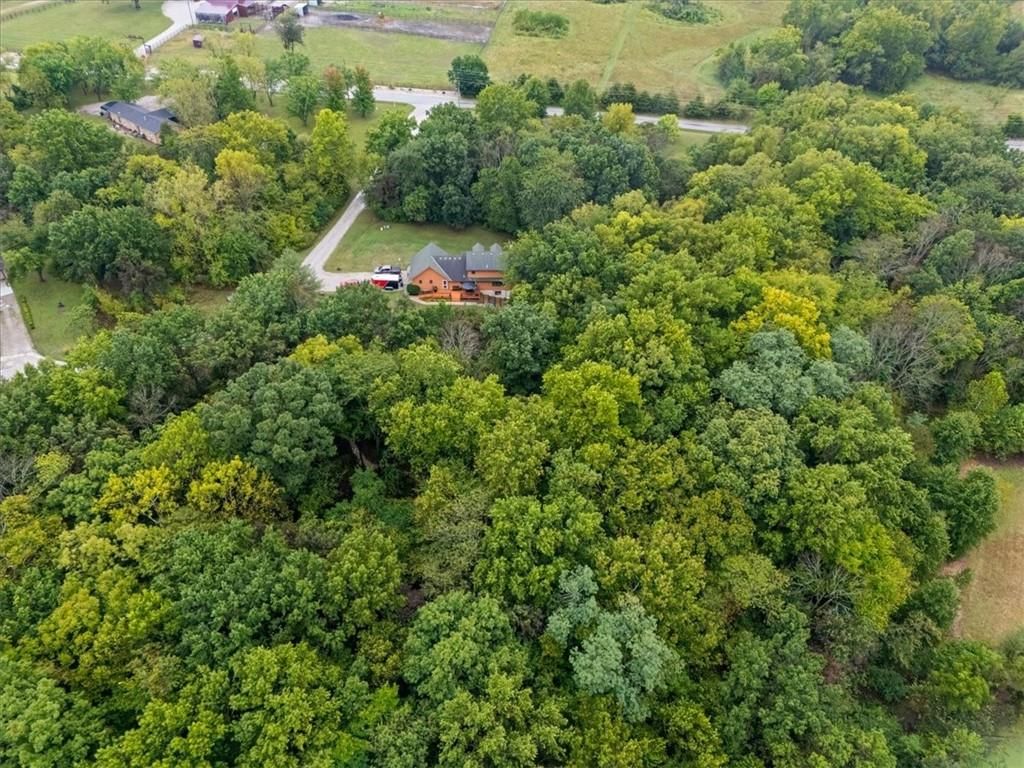 17806 Red Bud Circle — photo 6