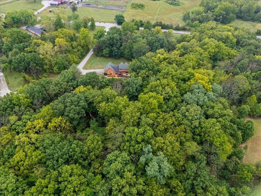 17806 Red Bud Circle — photo 40
