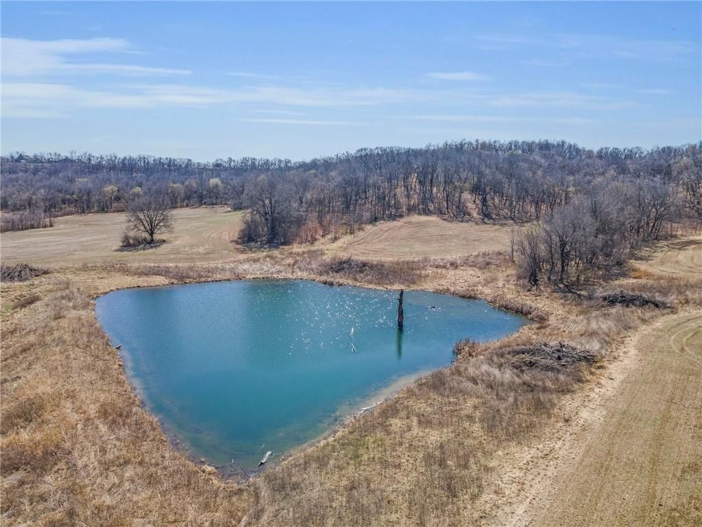 92.56 Acres Garner Road — photo 2