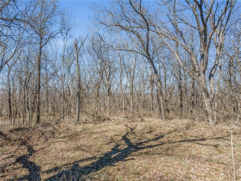 92.56 Acres Garner Road — photo 3