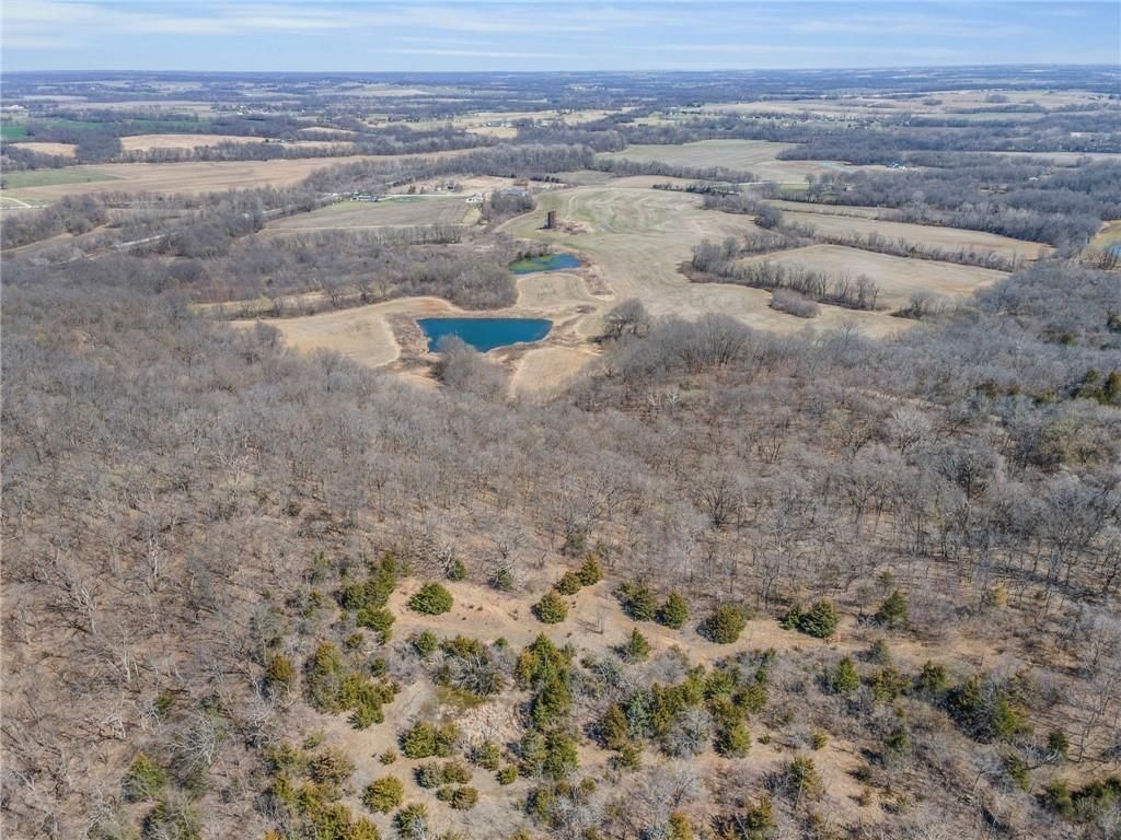 92.56 Acres Garner Road — photo 4