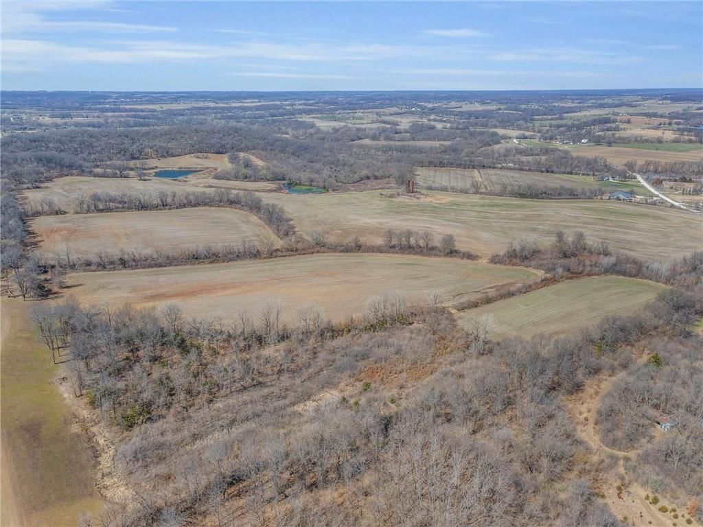 92.56 Acres Garner Road — photo 5