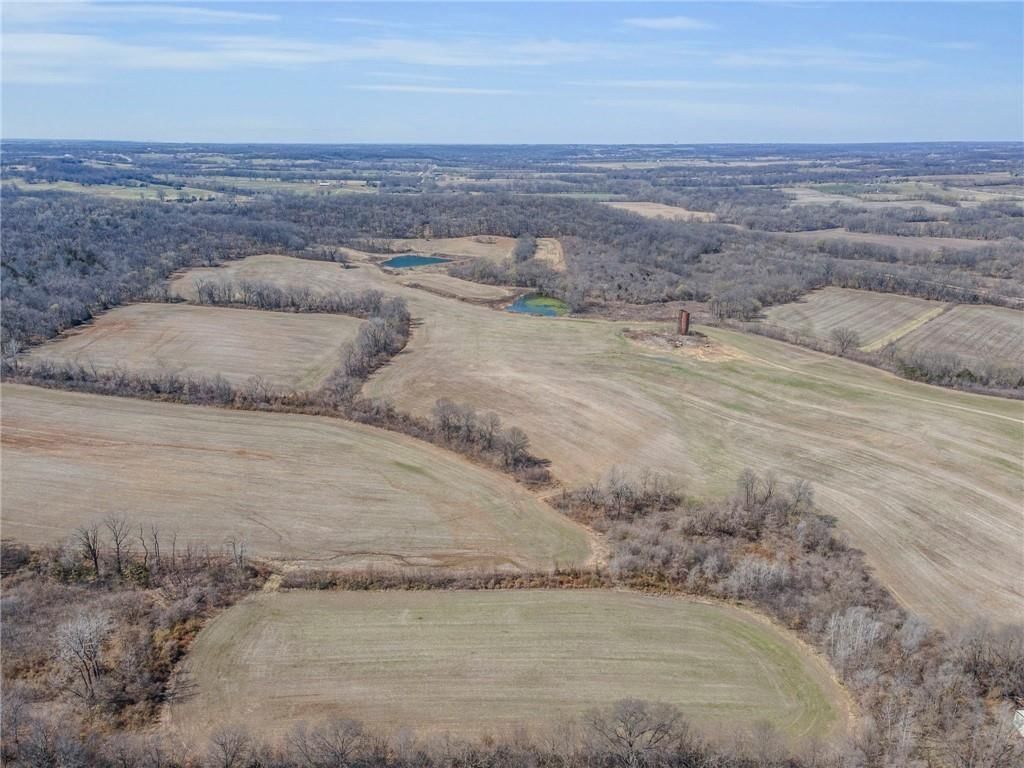 92.56 Acres Garner Road — photo 6