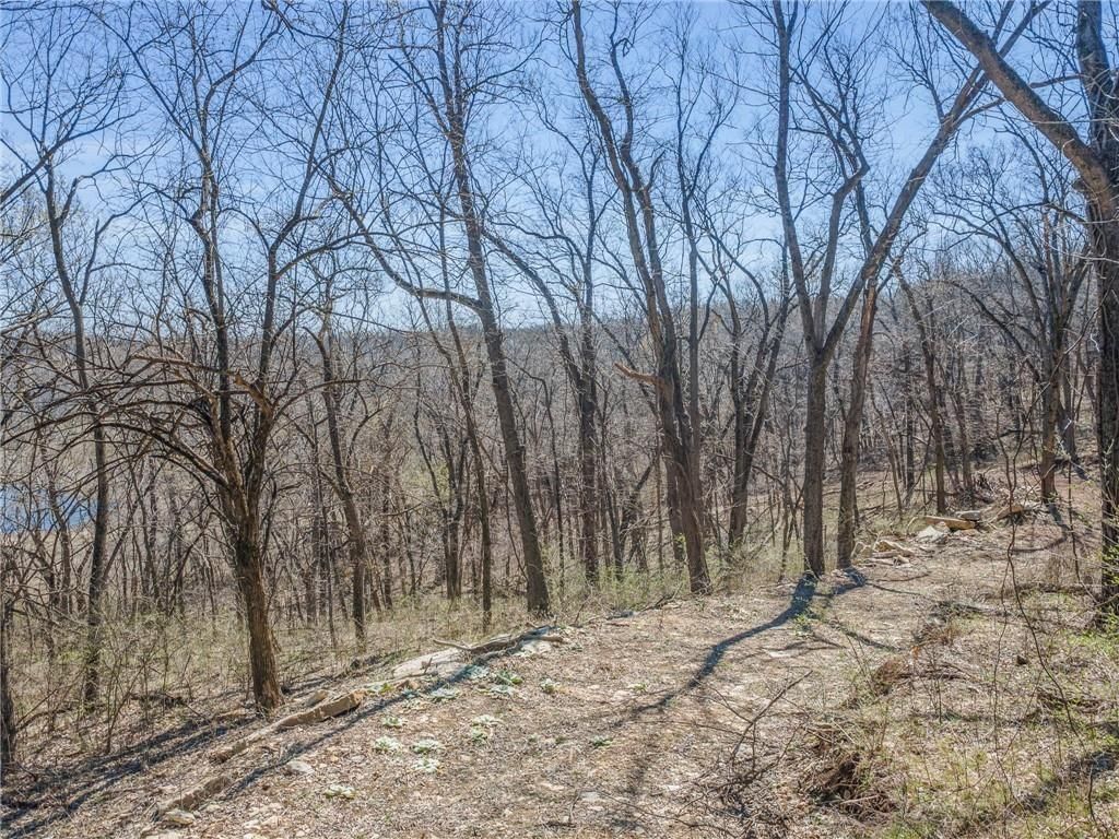 92.56 Acres Garner Road — photo 7