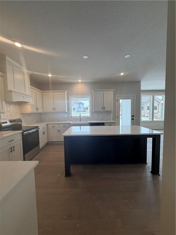 11370 S Langley Street — photo 11