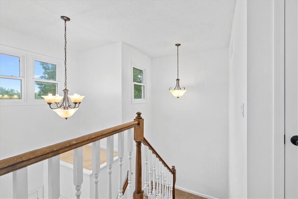 24 Timber Creek Drive — photo 23