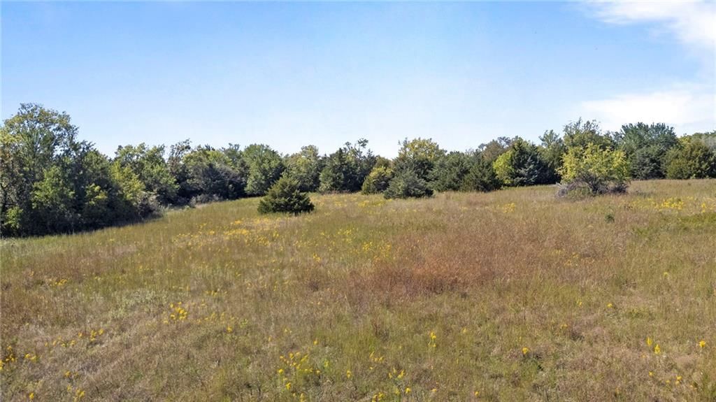 213th & Kill Creek Road — photo 9