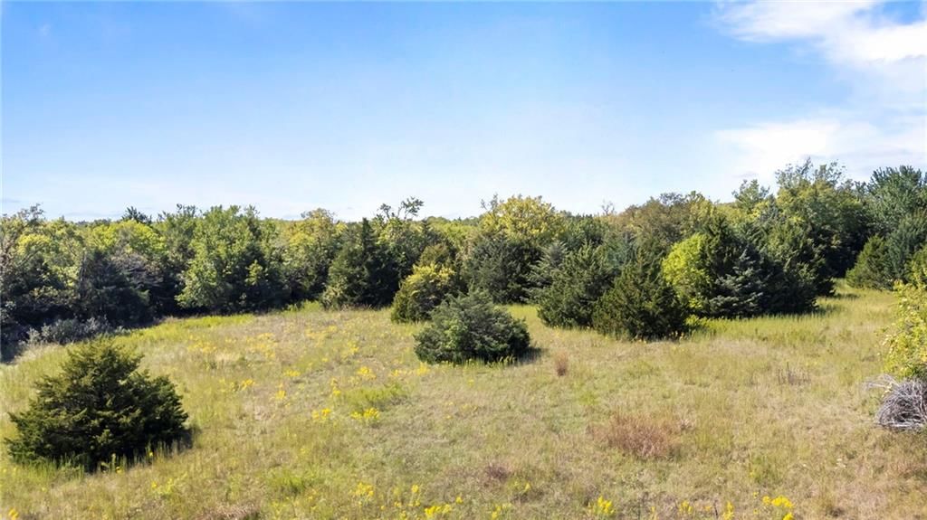 213th & Kill Creek Road — photo 11