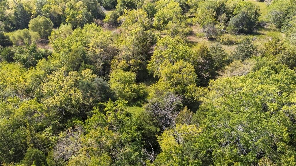 213th & Kill Creek Road — photo 14