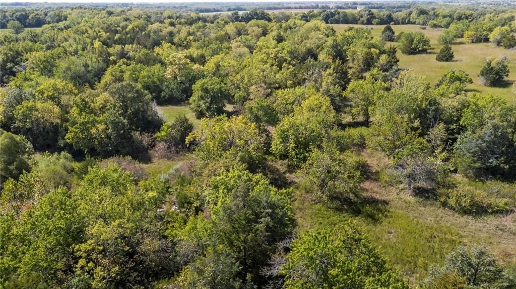 213th & Kill Creek Road — photo 15