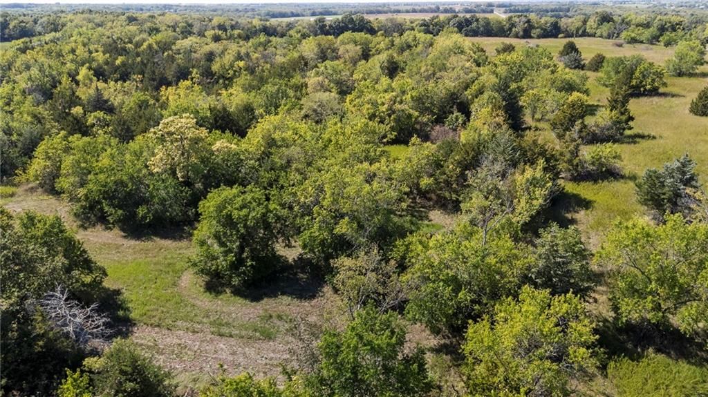 213th & Kill Creek Road — photo 16