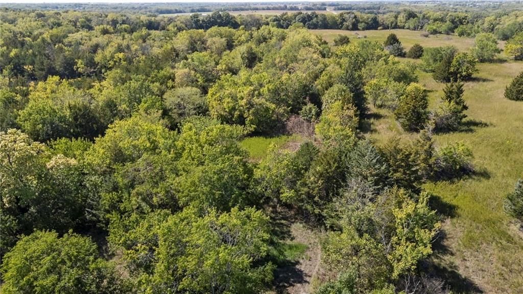 213th & Kill Creek Road — photo 17