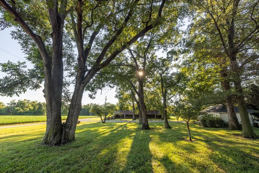 3497 SW CR 1067 N/A — photo 27